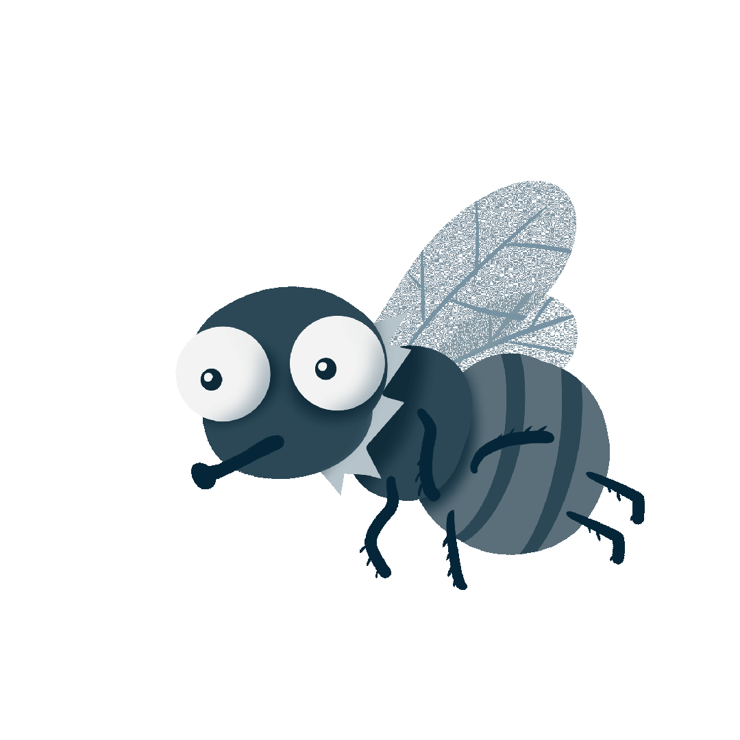 天气变暖 苍蝇渐多 当心它们在食物上的小动作